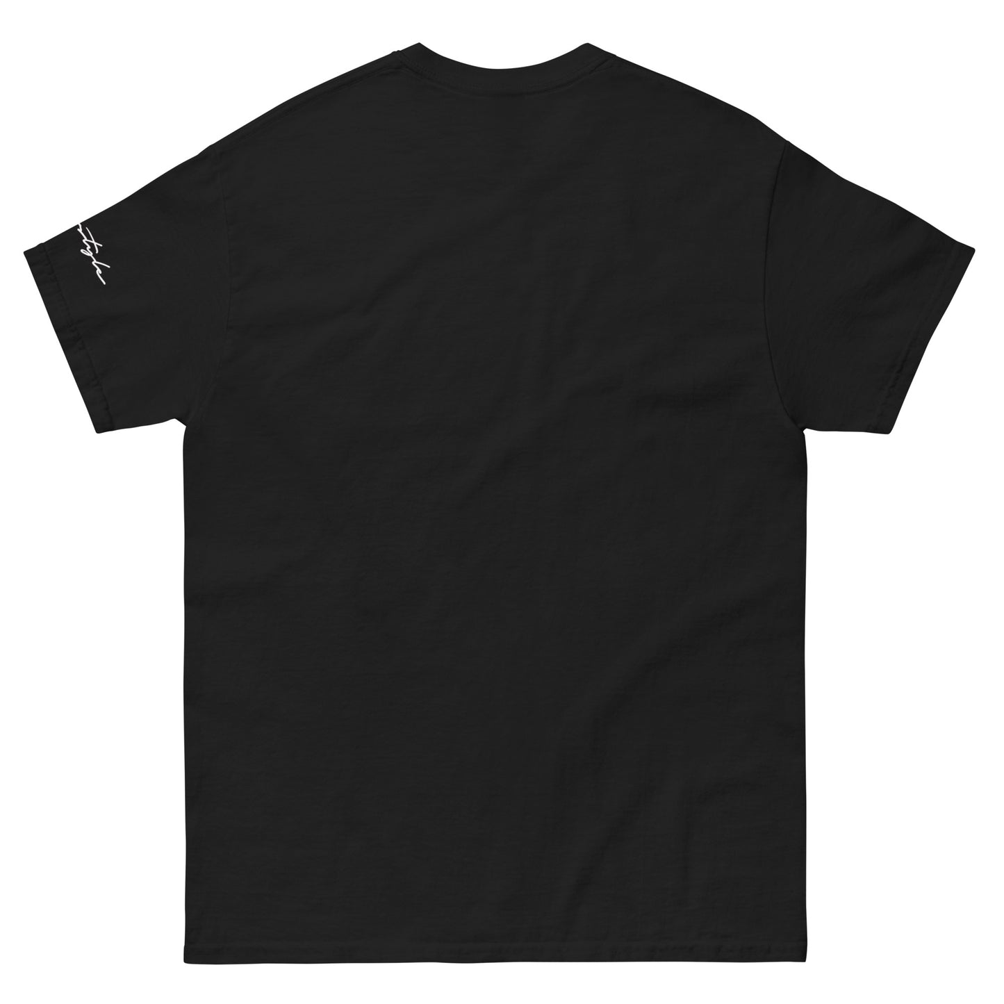 CvLs Men's classic tee