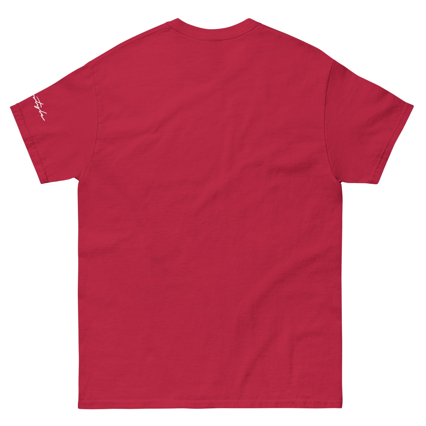 CvLs Men's classic tee