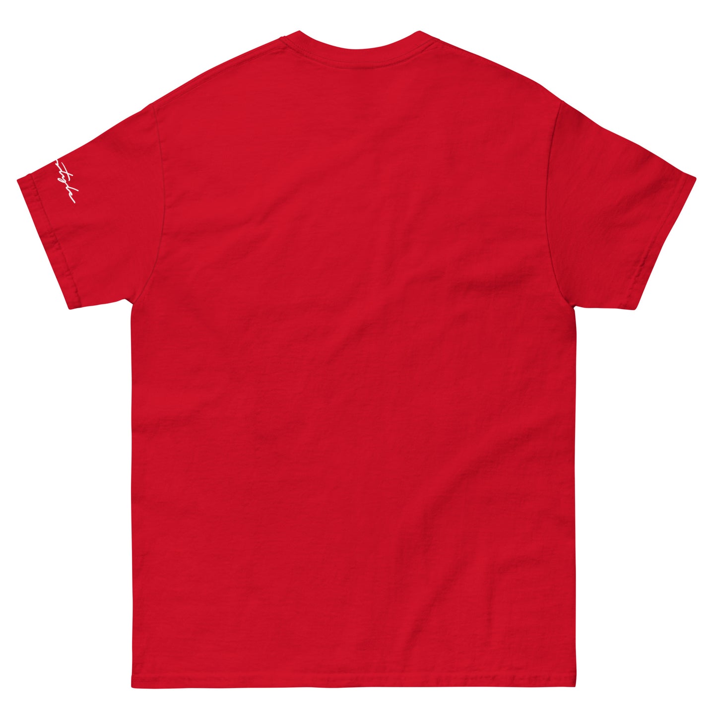 CvLs Men's classic tee
