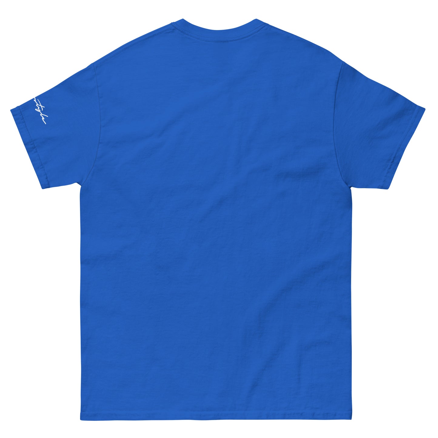 CvLs Men's classic tee