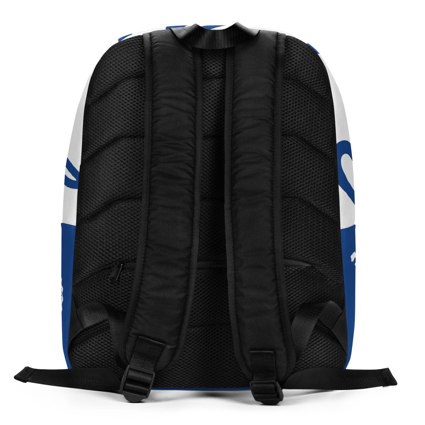 CvLs NF Minimalist Backpack